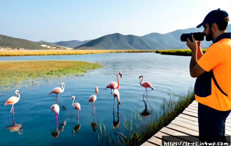 Home 15 지역 생태계 모니터링의 성공적인 사례 - Photorealistic successful local ecosystem monitoring project in a Turkish coastal wetland, diverse t...